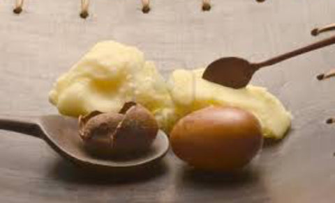 Shea Butter